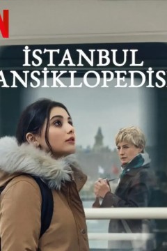 伊斯坦布尔百科全书