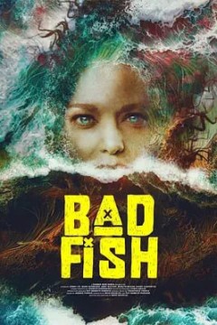 坏鱼