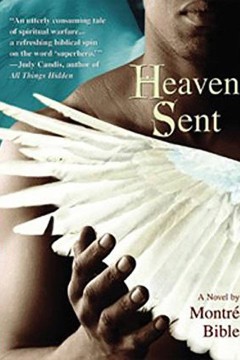 天堂来客(国语版)