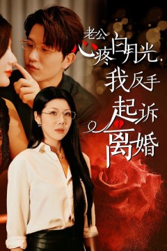 公疼白月光我反手起诉离婚