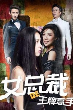 女总裁的王牌高手