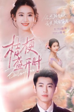 桔梗盛开时(她的小桔梗)