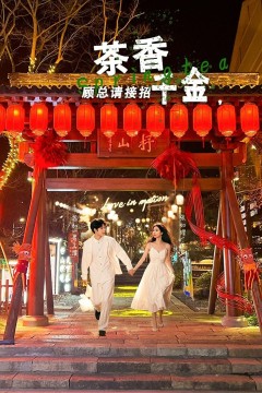 茶香千金顾总请接招