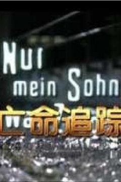 亡命追踪(国语版)