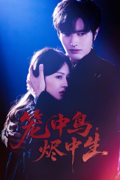 笼中鸟，烬中生