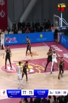 CBA常规赛第34轮 深圳马可波罗VS辽宁本钢 20240124(王冠证,陈正昊,魏欣怡)