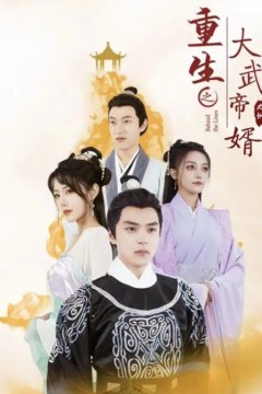 重生之大武帝婿