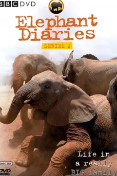 大象日记第二季