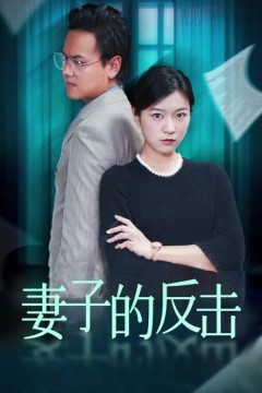 妻子的反击(消失的爱人)