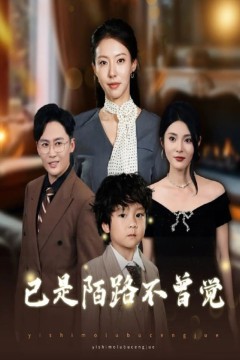 已是陌路不曾觉