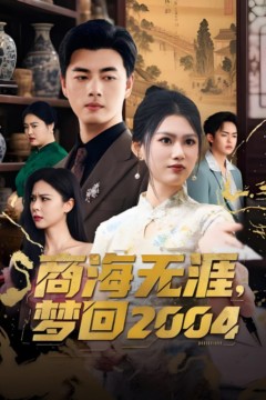 商海无涯梦回2004