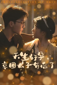 天生好孕京圈太子有后了(你与光共落人间)