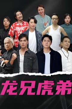 龙虎兄弟国语版