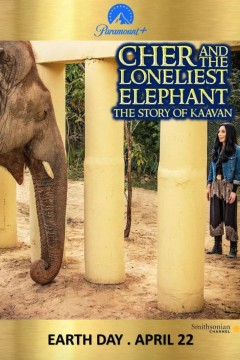 雪儿和最孤独的大象