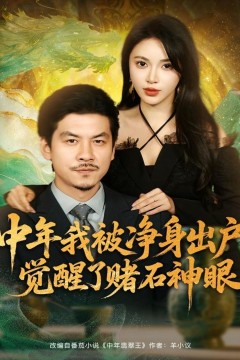 中年我被净身出户，觉醒了赌石神眼