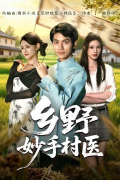 乡野妙手村医