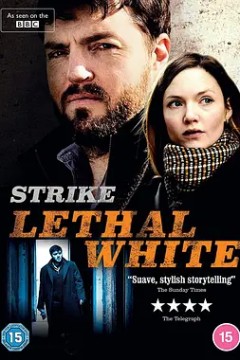 斯特莱克探案集第三季