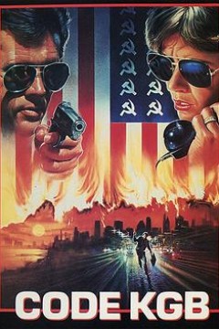 致命保镖(国语版)