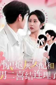 惊！炮灰女配和男二喜结连理了