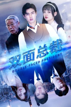 双面总裁