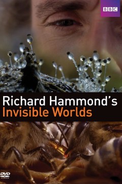 理查德·哈蒙德：看不见的世界