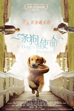 一条狗的使命(原声版)