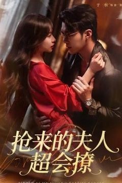 抢来的夫人超会撩