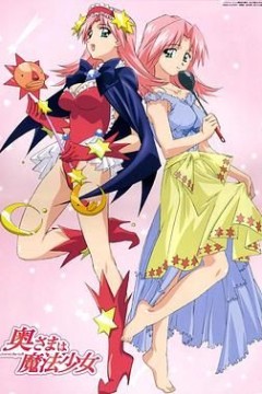 太太是魔法少女奥さまは魔法少女