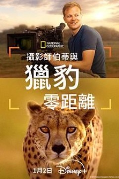 摄影师贝尔蒂与猎豹零距离