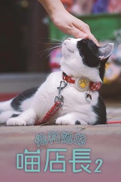 他和她的喵店长2