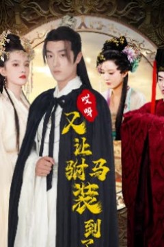 哎呀又被驸马装到了