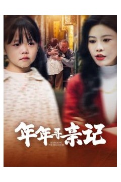年年寻亲记