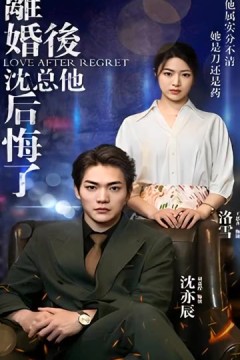 离婚后，沈总他后悔了