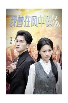 我曾在风中遇你