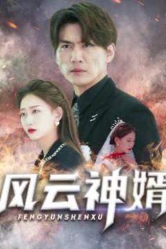 风云神婿