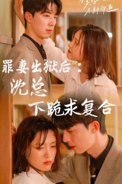 罪妻出狱后：沈总下跪求复合