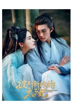 披荆斩棘的太子妃