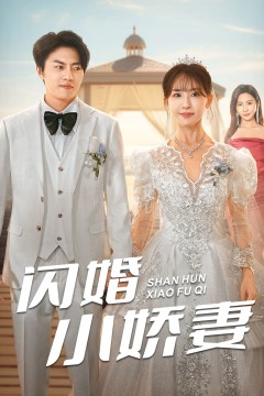 闪婚小娇妻