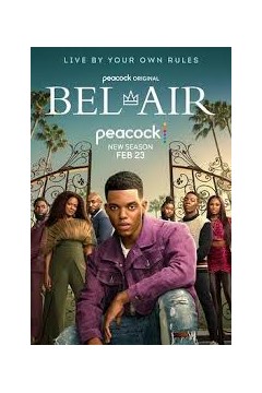 一秒变总统第二季