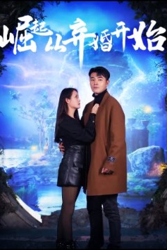 崛起从老婆被打开始&弃少豪婿