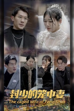 封少的笼中妻