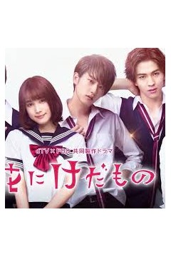 花予野兽第一季