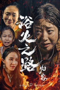 浴火之路归家