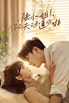 陆小姐！你前夫又来追你啦