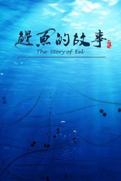 鳗鱼的故事