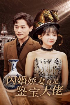 闪婚娇妻竟是鉴宝大佬