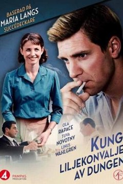 失控犯罪：山谷金百合