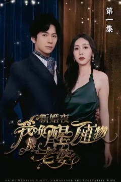 新婚夜，我唤醒了植物人老婆