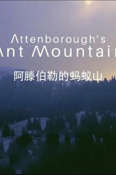 阿滕伯勒的蚂蚁山