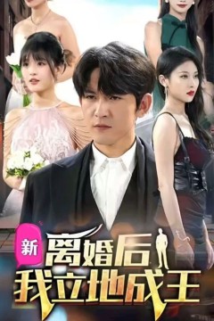 离婚后我立地成王